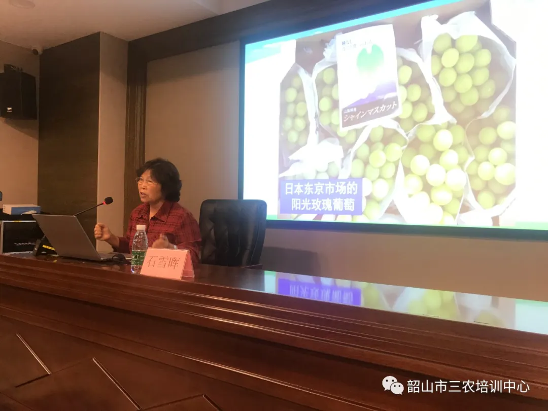 培育新型職業(yè)農(nóng)民 助推鄉(xiāng)村振興——寧鄉(xiāng)市農(nóng)廣校在我中心開展新型職業(yè)農(nóng)民培育水果專題班(圖9) 培育新型職業(yè)農(nóng)民 助推鄉(xiāng)村振興——寧鄉(xiāng)市農(nóng)廣校在我中心開展新型職業(yè)農(nóng)民培育水果專題班(圖9)