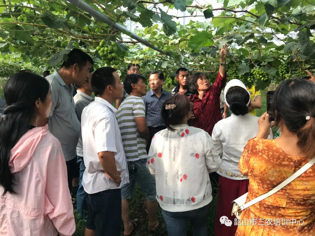 培育新型職業(yè)農(nóng)民 助推鄉(xiāng)村振興——寧鄉(xiāng)市農(nóng)廣校在我中心開展新型職業(yè)農(nóng)民培育水果專題班(圖11) 培育新型職業(yè)農(nóng)民 助推鄉(xiāng)村振興——寧鄉(xiāng)市農(nóng)廣校在我中心開展新型職業(yè)農(nóng)民培育水果專題班(圖11)