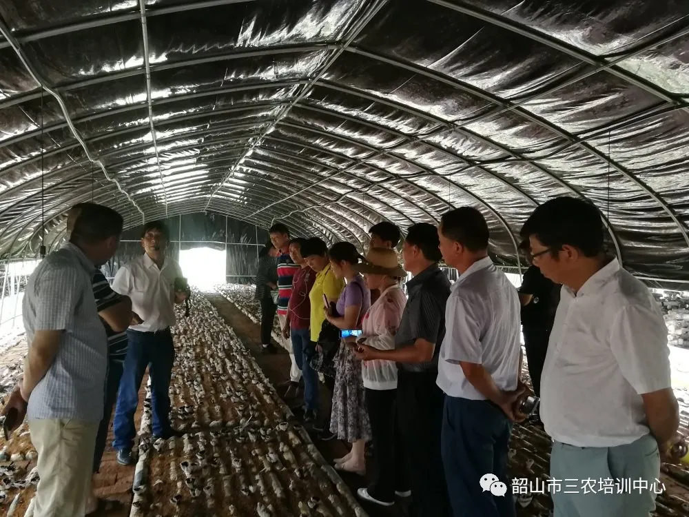 培育新型職業(yè)農(nóng)民 助推鄉(xiāng)村振興——寧鄉(xiāng)市農(nóng)廣校在我中心開展新型職業(yè)農(nóng)民培育水果專題班(圖14) 培育新型職業(yè)農(nóng)民 助推鄉(xiāng)村振興——寧鄉(xiāng)市農(nóng)廣校在我中心開展新型職業(yè)農(nóng)民培育水果專題班(圖14)