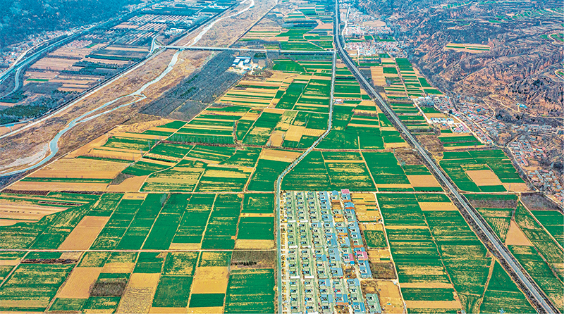 錨定建設(shè)農(nóng)業(yè)強國目標(biāo) 切實抓好新時代新征程“三農(nóng)”工作--唐仁健(圖1) 錨定建設(shè)農(nóng)業(yè)強國目標(biāo) 切實抓好新時代新征程“三農(nóng)”工作--唐仁健(圖1)