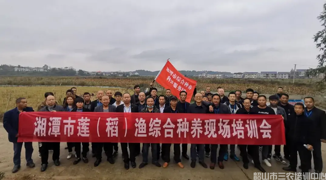 湖南“農(nóng)廣助農(nóng)”工程湘潭蓮(稻)漁綜合種養(yǎng)產(chǎn)業(yè)領(lǐng)軍人才培訓(xùn)班在我中心開班(圖3) 湖南“農(nóng)廣助農(nóng)”工程湘潭蓮(稻)漁綜合種養(yǎng)產(chǎn)業(yè)領(lǐng)軍人才培訓(xùn)班在我中心開班(圖3)