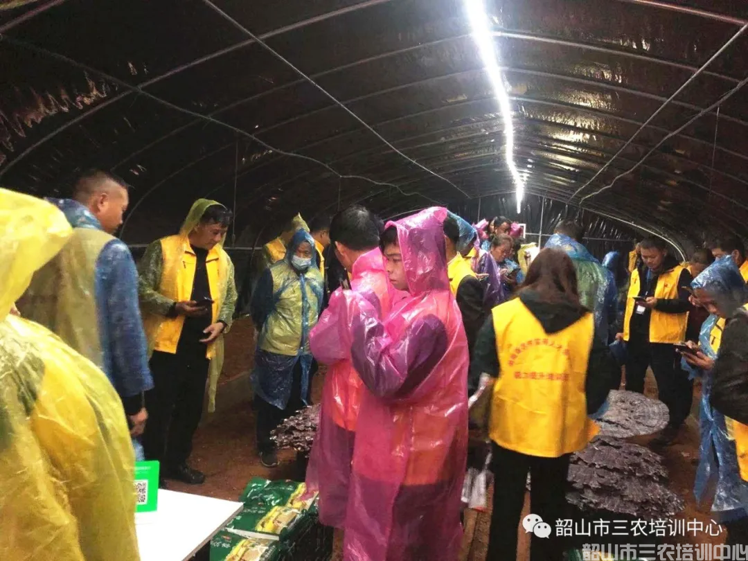 韶山市三農(nóng)培訓中心圓滿完成2020年湖南省首屆農(nóng)村實用人才帶頭人能力提升培訓班培訓計劃(圖10) 韶山市三農(nóng)培訓中心圓滿完成2020年湖南省首屆農(nóng)村實用人才帶頭人能力提升培訓班培訓計劃(圖10)